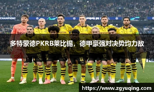 完美体育登录入口