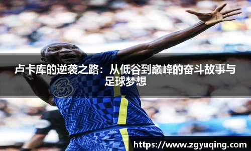 完美体育登录入口